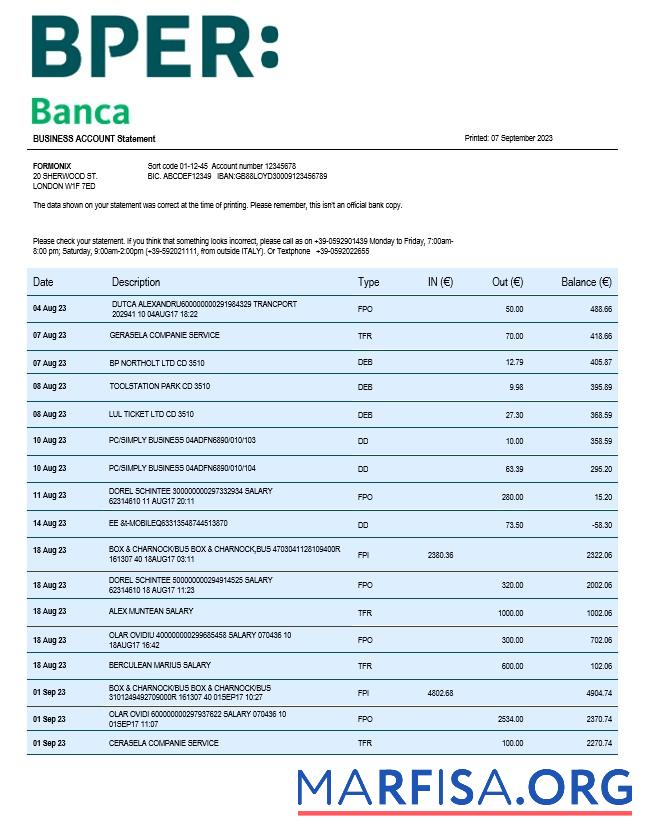 Printable BPER Group organization statement Word and PDF template